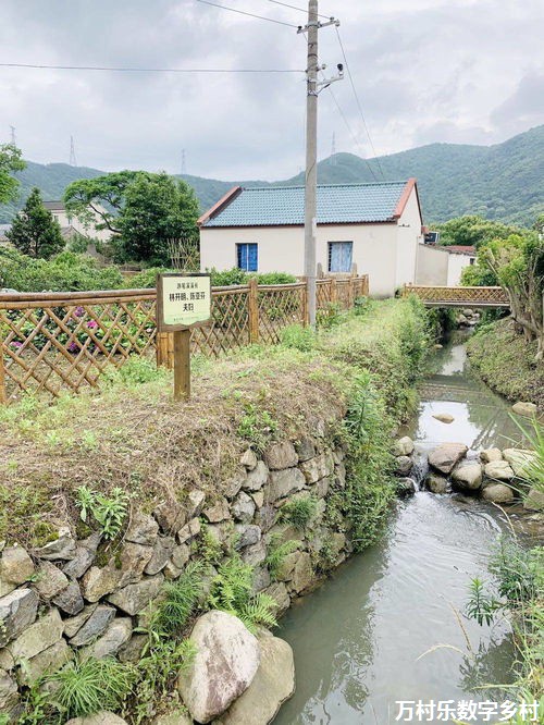 乡村振兴战略：数字化的路径与挑战——探索数字乡村建设方案