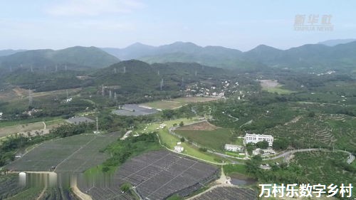 雅安市芦山县：发挥统战优势 助力乡村振兴