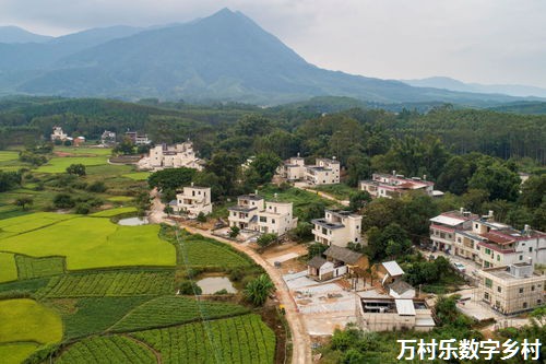 乡村振兴战略下的农村基层组织建设与产业振兴路径