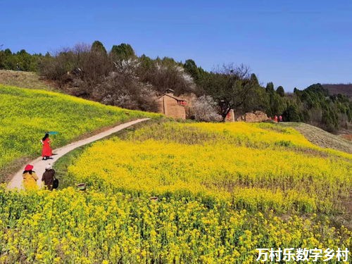 乡村治理中的社区参与与民主决策：构建和谐社区的关键步骤