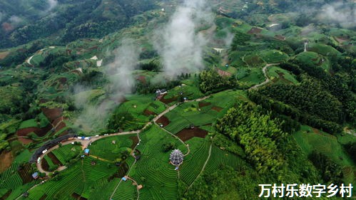 乡村振兴与农村社会治理的法治化路径探索