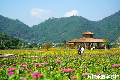 乡村振兴与农村社会治理的法治化进程：构建和谐乡村的法律框架