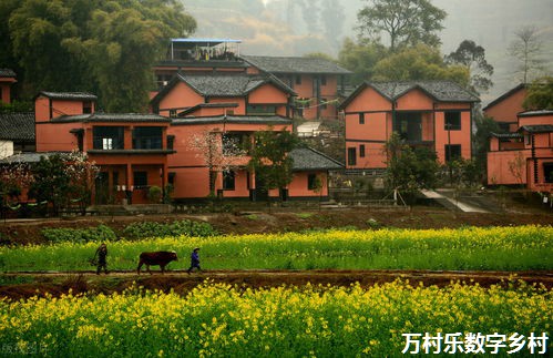 美丽乡村建设之道：农业产业多元化发展与生态技术实践，乡村旅游挖掘与品牌营销策略，人才培育与可持续发展探究