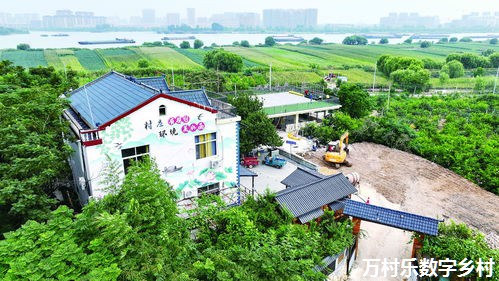 乡村振兴战略下的农村信息化平台建设：打造智慧农村新篇章