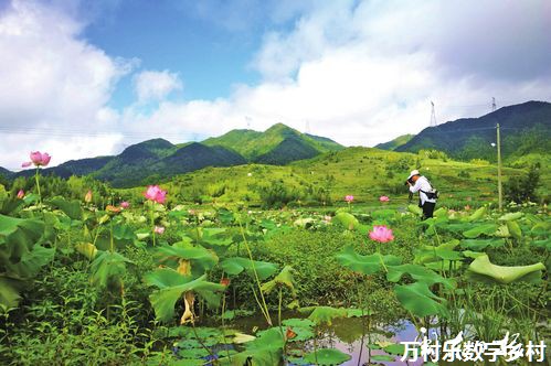 乡村振兴战略下的农村基层组织建设与产业振兴路径