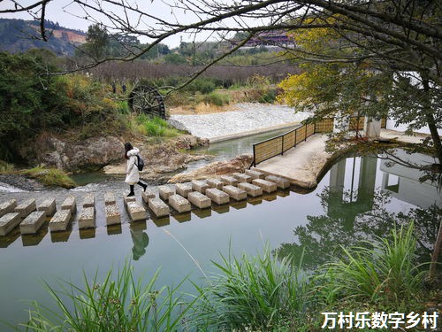 乡村振兴战略下的农村基础设施建设与环境改善：构建宜居宜业的现代化乡村