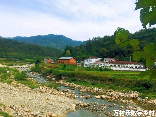 乡村振兴之农村电商发展攻略：新引擎、产业机遇、技术赋能、市场拓展与人才培育