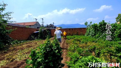 乡村振兴基础设施建设攻略：推动乡村全面振兴之路