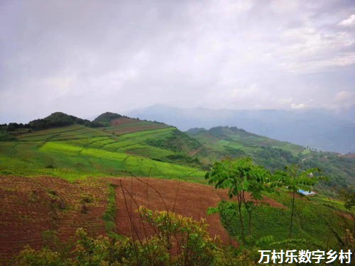 农村土地流转：产业振兴策略与全面振兴路径