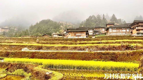 乡村治理中的信息化建设与大数据应用：构建智慧乡村新蓝图