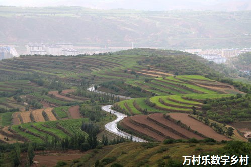 农村信息化建设与乡村振兴的数字乡村：构建现代化农业新篇章