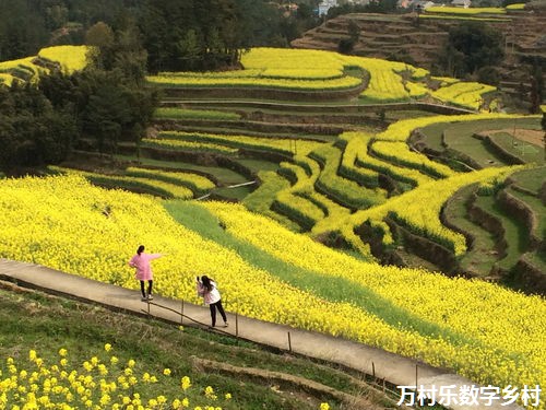 中国10个美丽乡村，用设计重塑艺术乡村