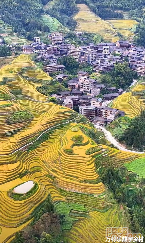 红色旅游引领下的乡村振兴策略：传承与发展