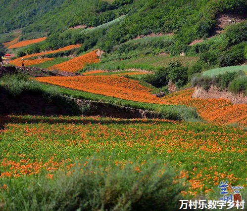 “零碳村”变迁记--国家能源集团对口帮扶开创绿色美丽乡村建设新典范