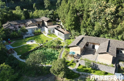 一个山区数字乡村的诞生——水竹园村数字乡村建设纪实