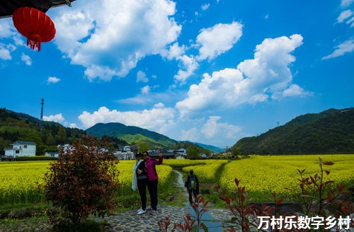 全面推行数据官制度，济南布局数字经济高质量发展