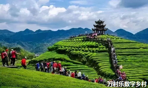 荐读 ｜ 胡卫卫 申文静：技术赋能乡村数字治理的实践逻辑与运行机制——基于关中H村数字乡村建设的实证考察