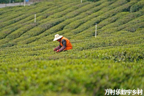 发展全过程人民民主凝聚推进中国式现代化的智慧与力量 ——党的二十届三中全会精神在我省广大党员干部群众中引发热烈反响