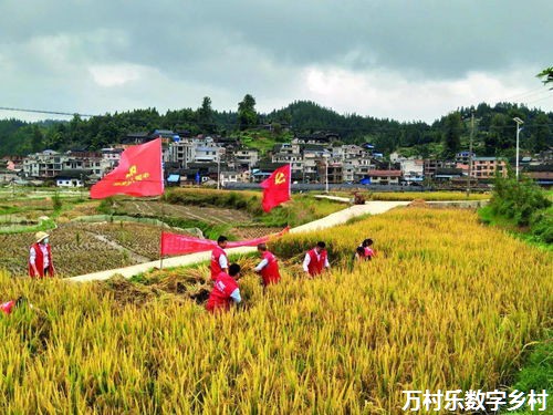 烟台改革风帆劲：农村改革铺展乡村振兴新画卷