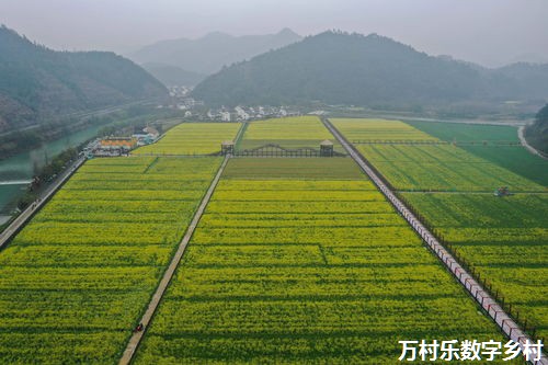 促进城乡共同繁荣发展