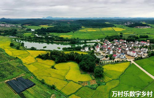 余杭黄湖建好“三支队伍”刻画乡村振兴图景