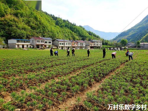 海南万宁：“四好农村路”建设与美丽乡村深度融合