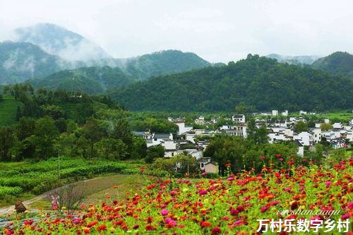 国外数字乡村建设现状及启示播报文章语音播报文章，释放双眼