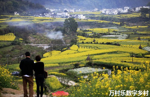 乡村变化看小康｜宁夏：多点发力绘就乡村振兴新画卷播报文章语音播报文章，释放双眼