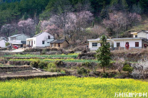 进一步全面深改开新局丨推进城乡融合发展 农业农村改革明确重点任务