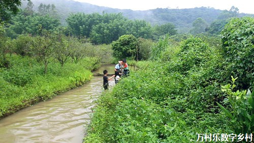 重庆着力打造具有地域特色的乡村建设模式