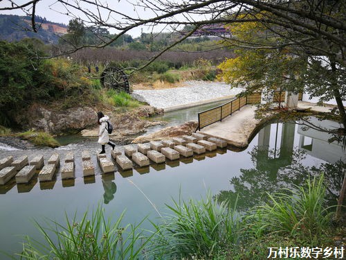 人民日报：乡村全面振兴扎实推进（年中经济观察）