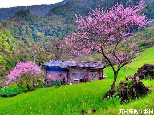 乡村土地流转全方位解析：现状、经济影响、政策法规与未来发展