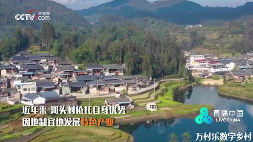 珍视绿水青山，共筑乡土未来：乡村自然资源保护之路