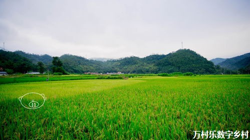 传承与繁荣：乡村手工艺的路径探索与市场拓展之道