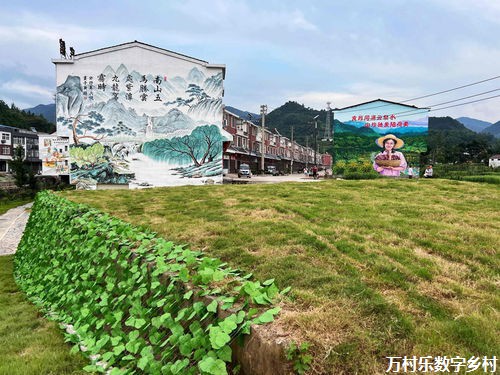 乡村生态守护之路：从野生动植物价值到公众参与保护