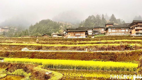 深入探索：乡村土地改革的历程、政策、影响、挑战及创新之路