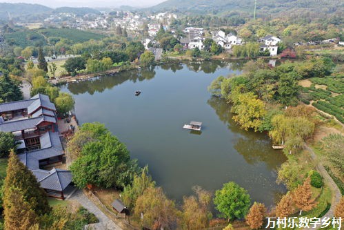 乡村教育现状：挑战与展望