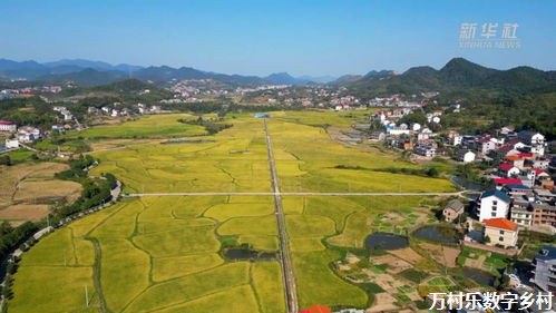 美丽乡村建设：探寻乡村振兴之路