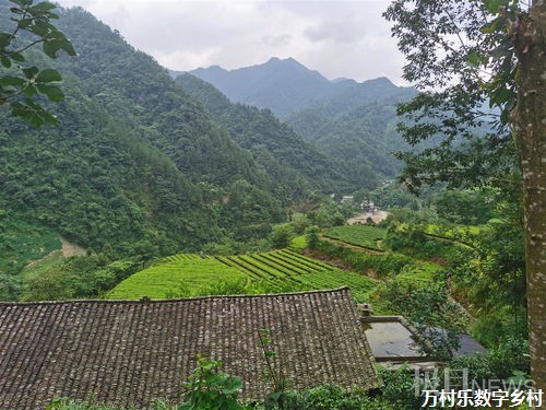 美丽乡村建设：探寻乡村振兴之路