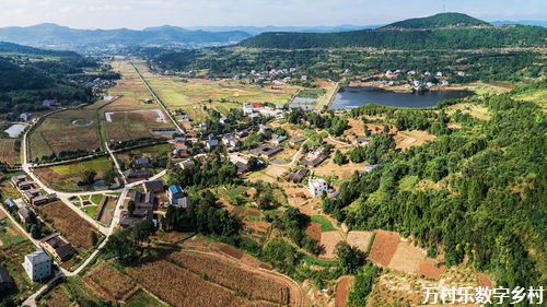 乡村基础设施建设：助力乡村振兴的基石之路