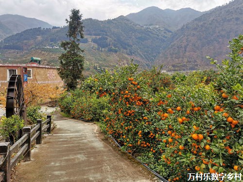 乡村生态文明建设：绿色崛起中的乡村振兴之路